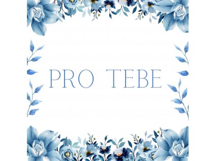Kartička Pro tebe modrá
