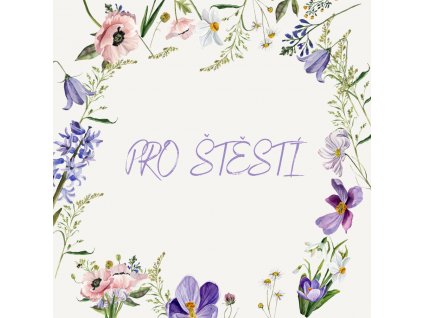 Kartička Pro štěstí 2