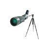 Celestron Regal M2 100EDa