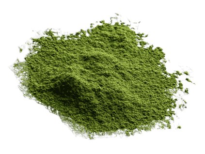 13. 12. 2025 9 35 52 – upraveno (1) (1)