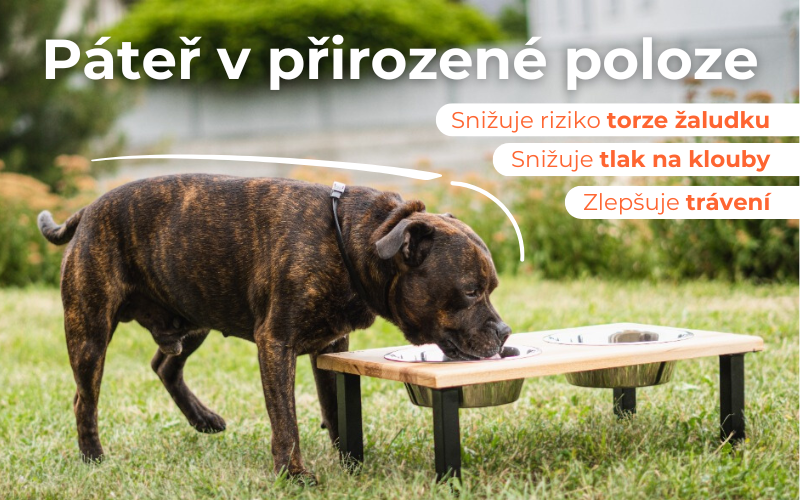 Rovná páteř - MOBIL