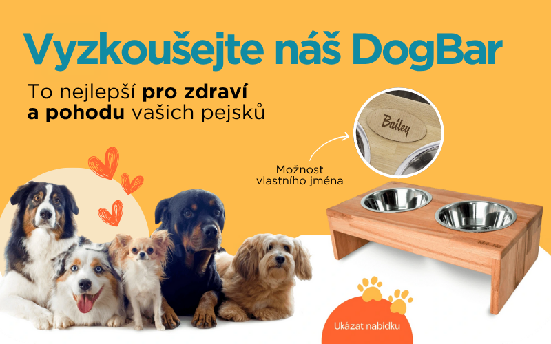 Carousel dogbary - MOBIL