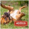 3805 4 4dogs pulene jeleni parozi pro psy standard
