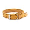 Kožený obojek STUBBY | hořčicová (Šířka 2,5 cm, Obvod krku 25 - 35 cm)