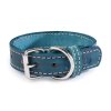 Kožený obojek STUBBY | tyrkysový (Šířka 2,5 cm, Obvod krku 25 - 35 cm)