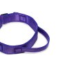 Popruhový obojek FASTLOCK GRIP | fialový (Šířka 3 cm, Obvod krku 37 - 43 cm)