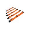 Popruhový obojek SIMPLE | oranžový (Rozměr 1,5 cm, 18 - 27 cm)