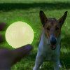 MA NU Skipdawg neon glow micek 5