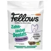 Fellows hmyzi dentalni tycinky 320 g