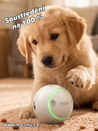 Moje mise: Získat všechny pamlsky z téhle koule. Odhadovaný čas: Dokud neusnu vyčerpáním. 😴😁🐾 #steně #psizivot #hravypes...