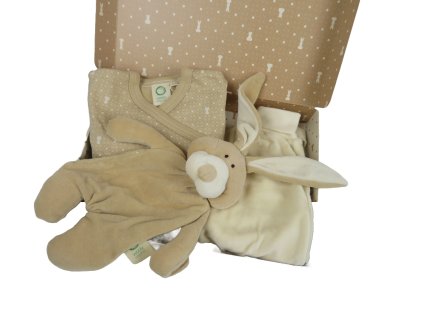 Remove background project (10)