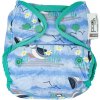 Pop-in AIO bamboo reusable popper nappy Puffin