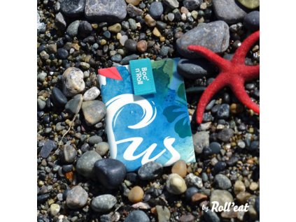 Boc'n'Roll-Young SURF