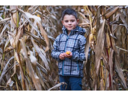 ELKA softshellová bunda - šedá kostkovaná