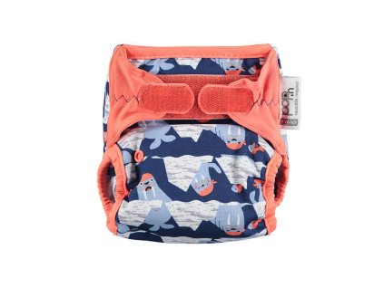 Pop-in NEW GEN V2 bamboo Walrus