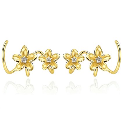 Dámske strieborné náušnice BOGUSIA