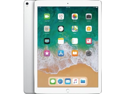 ipad pro 12,9 silver cellular 1