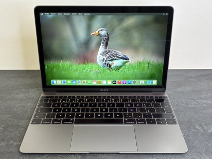 Photo 07.01.2026, 15 15 57