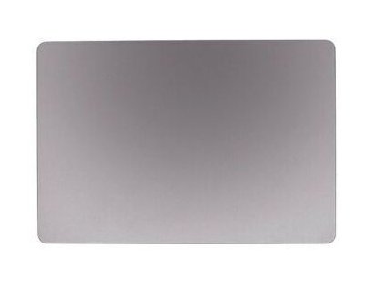 Trackpad MacBook Pro A2251/A2289 - Space Gray