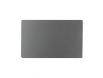 Trackpad MacBook Pro A2442 - Space Gray