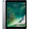 ipad pro 12,9 space gray cellular 1