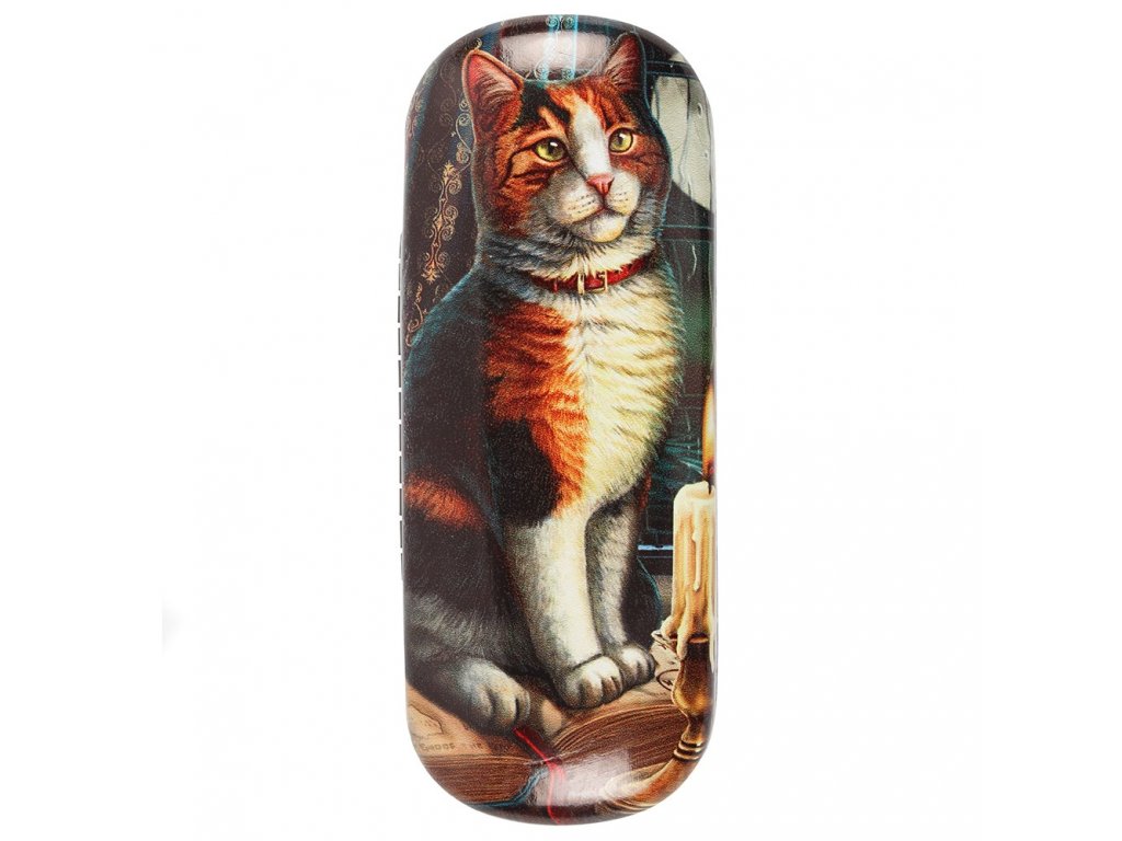 puzdro futrál na okuliare mačka s mačkou mačacie s mačkami sviečka Lisa Parker