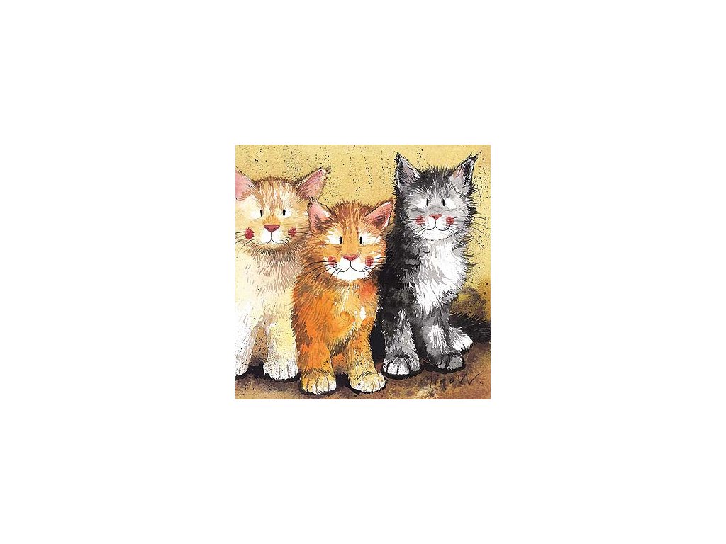 želanie blahoželania tri kočiare mačka s mačkou mačacie Alex Clark
