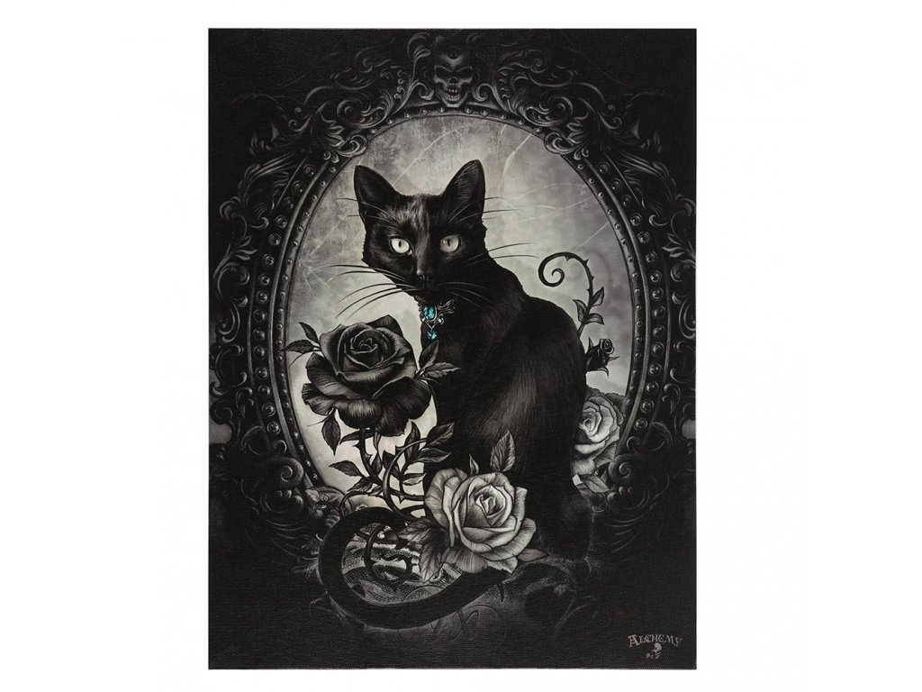 obraz mačka s mačkou mačacie gotický
