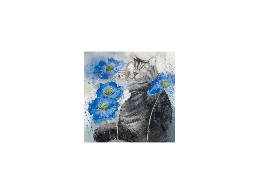 přání blahopřání kočka s kočkou kočičí modrá alex clark