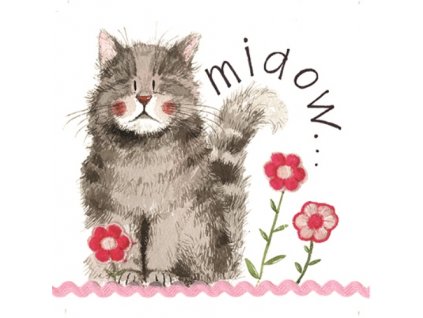 priania blahoželania mačka s mačkou mačacie kvety