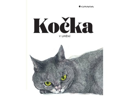 Mačka v umení kresba maľba mačka s mačkou mačacie s mačkami art