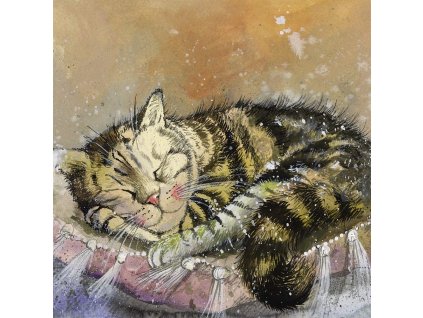 maľba obraz na plátne na ráme mačka s mačkou mačacie spiace mačiatko Alex Clark 2