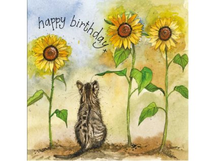 priania blahoželania narodeniny mačka s mačkou mačacie s mačkami slnečnice alex clark