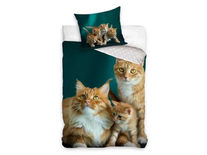 obliečky posteľná bielizeň mačka s mačkou mačacie s mačkami ryšavé ginger mačacia rodina