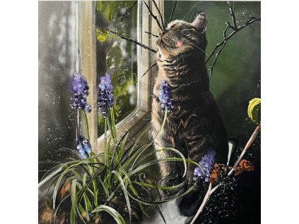 priania blahoželania mačka s mačkou mačacie s mačkami Alex Clark mačka a levanduľa