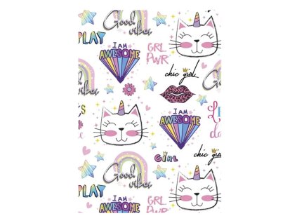 dosky folder obálka mačka s mačkou mačacie s mačkami jednorožec dúha