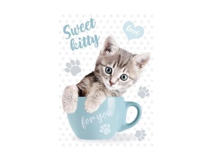 dosky folder obálka šanón mačka s mačkou mačacie s mačkami mačiatko