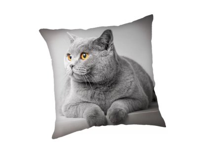 vankúš obliečka mačka s mačkou mačacia s mačkami šedý kocúr