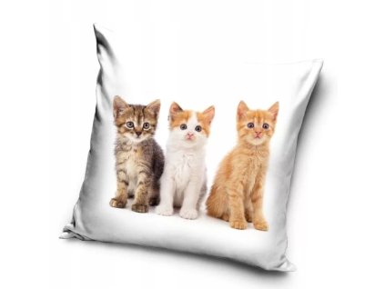 vankúš obliečka mačka s mačkou mačacia s mačkami tri mačky mačiatka mačiatko mačiatko