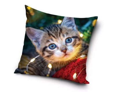 vankúš obliečka mačka s mačkou mačacia s mačkami mačiatko zamat zamatový
