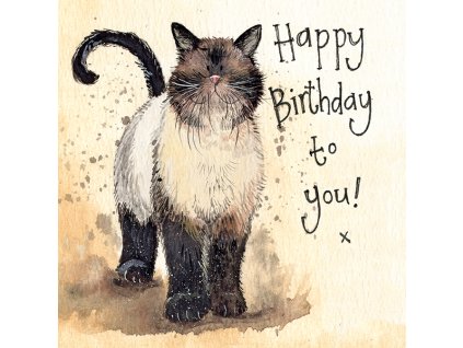 narodeninové prianie blahoželania mačka s mačkou kocúr alex clark