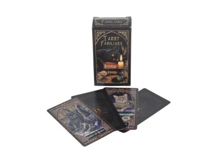 tarotové karty taroty mačka s mačkou mačacie familiars lisa parker