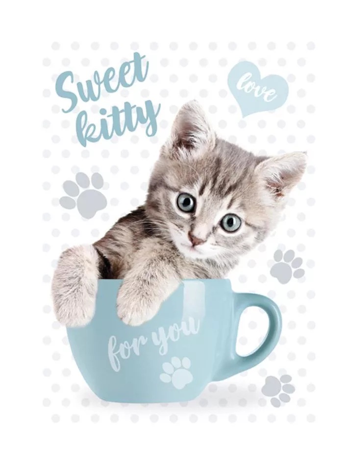 Dosky s mačkou v hrnčeku