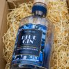 Blue Gin maceračná fľaša macerani.sk