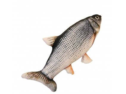 plysova-ryba
