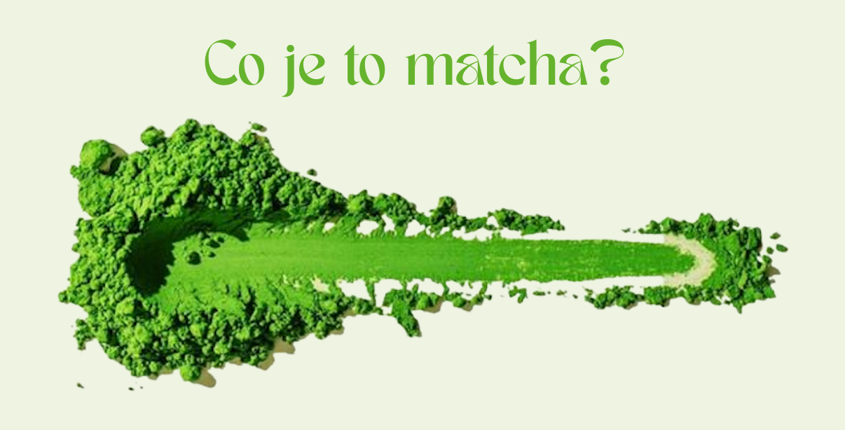 Co je to matcha? Průvodce světem japonského zeleného čaje