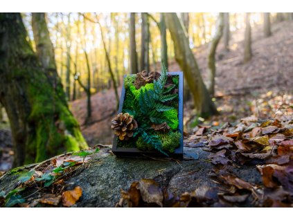 Machový obraz Jeseň  13 x 18 cm