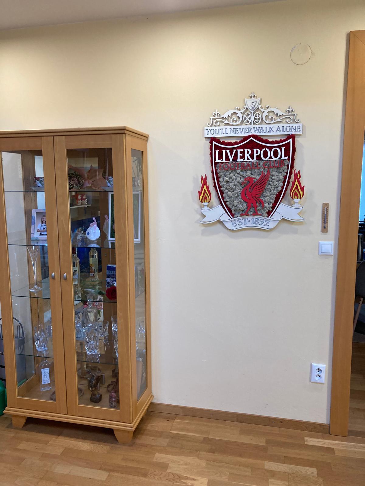 Mechové fotbalové logo Liverpool