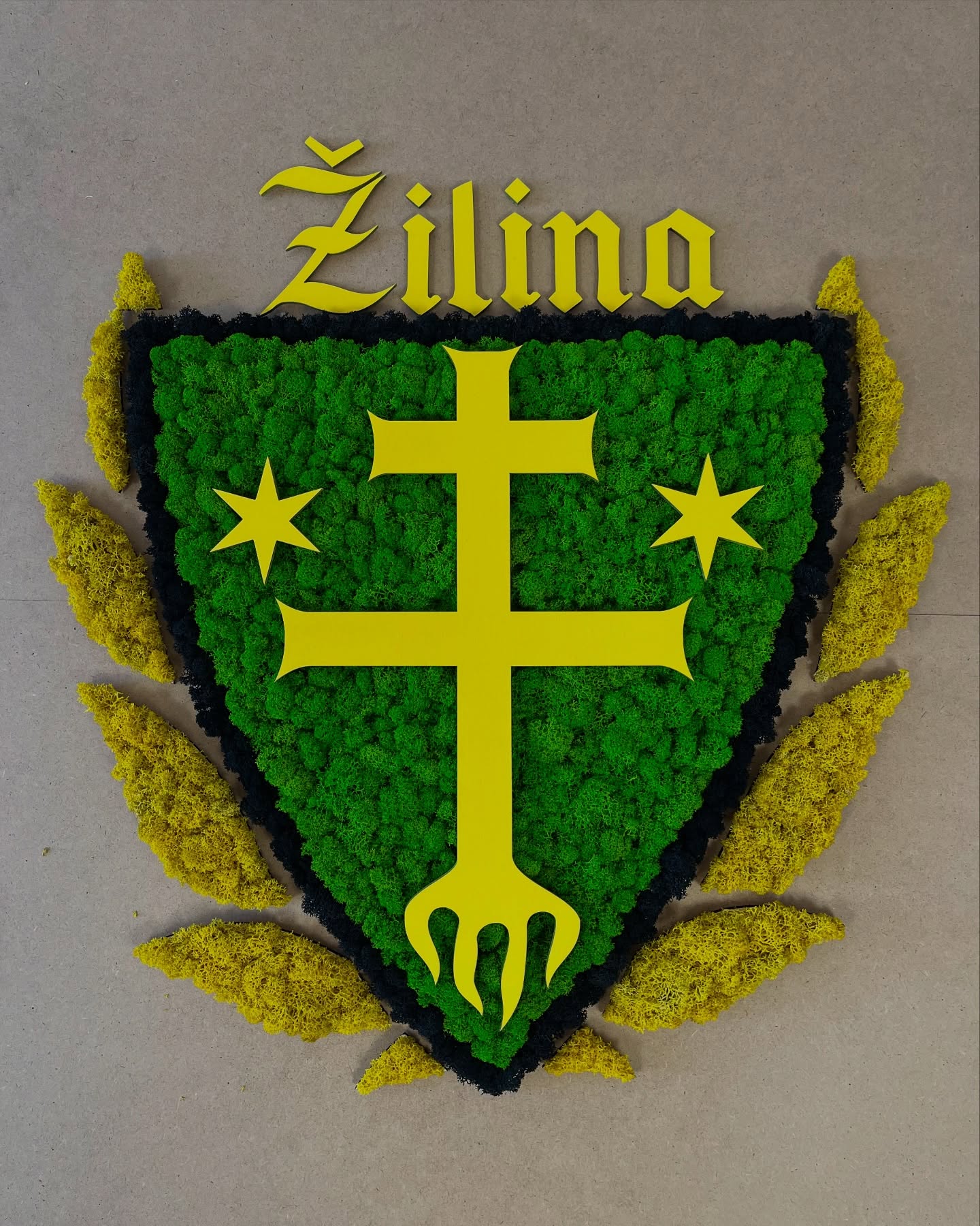 futbalove logo - machovy obraz ZILINA