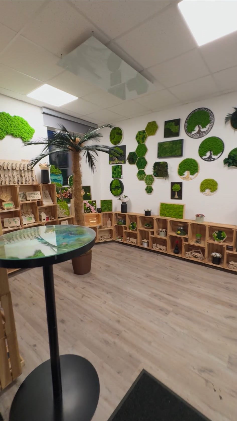 Interiér showroomu NATUVO s machovými obrazmi a dekoráciami